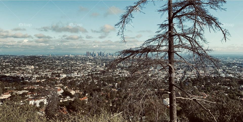 View of Los Angeles