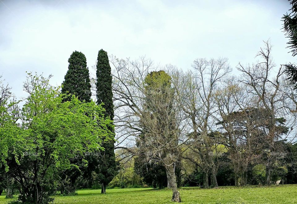 Trees of all sorts are part of these urban forests. Buenos Aires is known for them. Some areas are shut off to the public for preservation. Birds of prey such as the Caracara nest in these woods as do other living creatures.