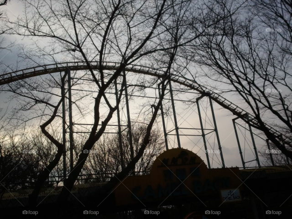 Natural environmental design