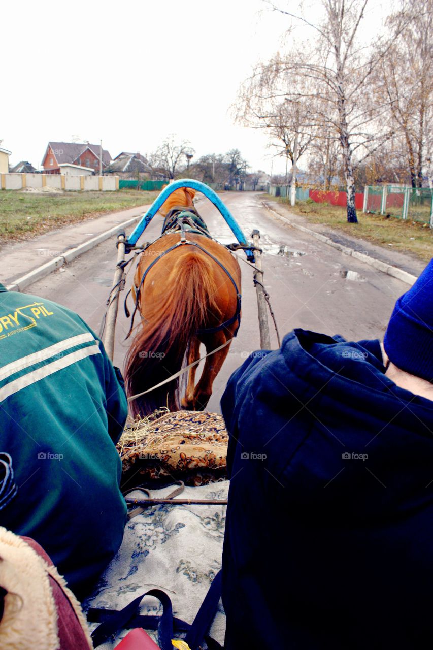 let's ride. horse drawn car in Ukraine. 