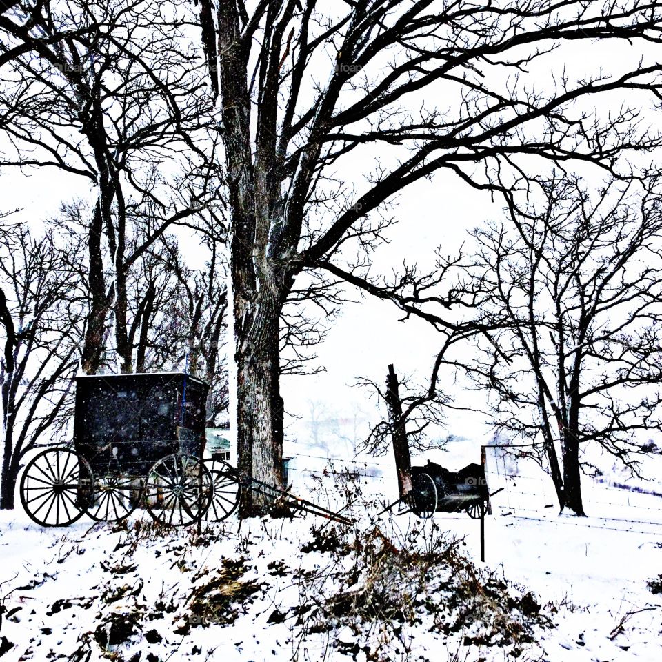 Amish buggies In the snow !