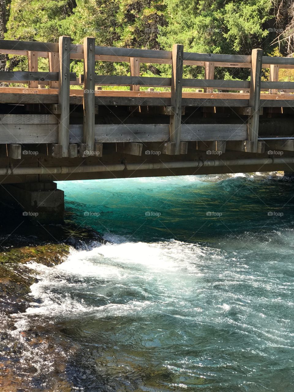 The beautiful turquoise waters of the Metolius River flow under a wooden bridge at Wizard Falls in Central Oregon on a sunny summer day.