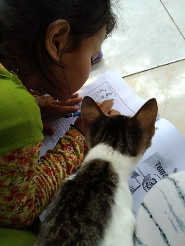 Cilacap, Indonesia | 14 September 2021 | Do the homework with pet