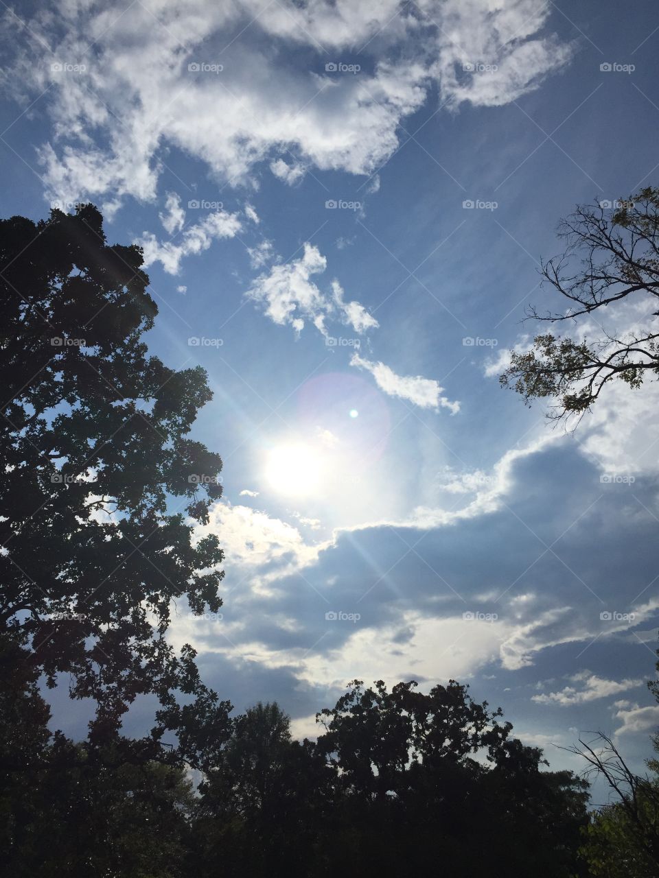 Clouds before the rain