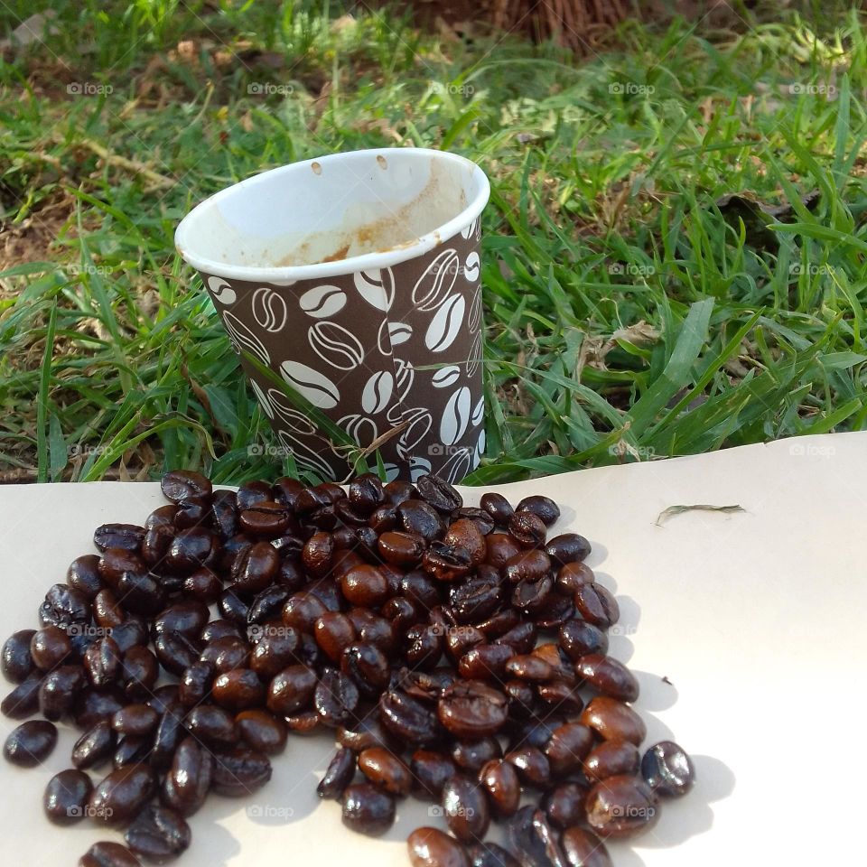 nice landscape, coffee beans, nice and tasty coffee