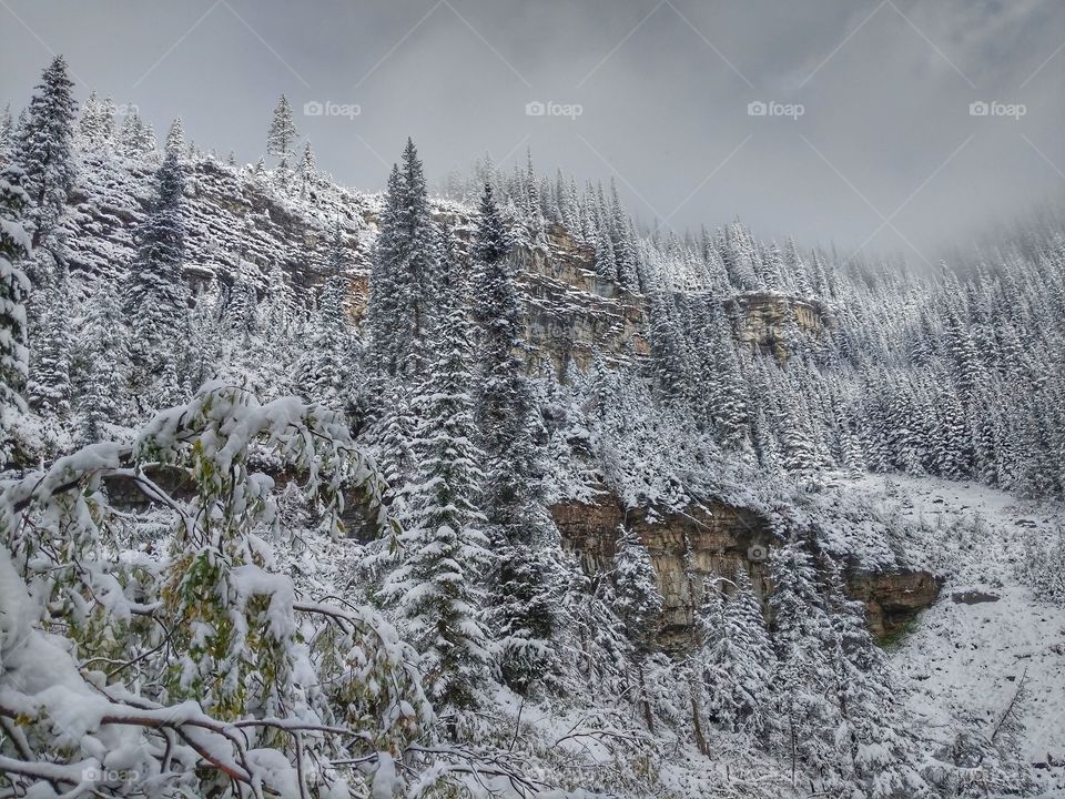 First Snow Fall in the Rocky Mountains