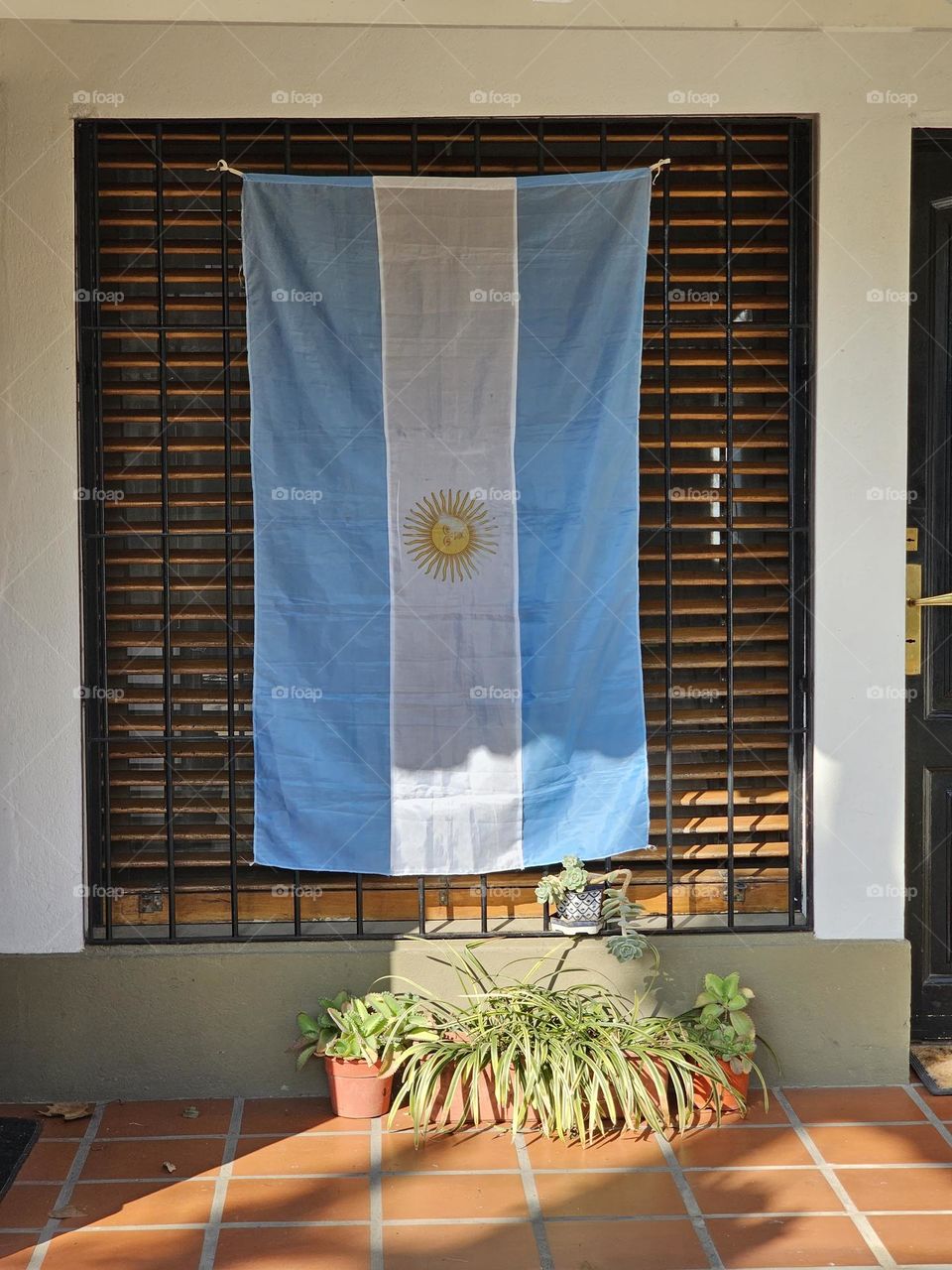 Flag of Argentina on home window on July 9th, Independance day