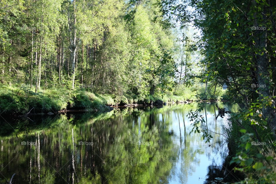 Water, Nature, Wood, River, Landscape