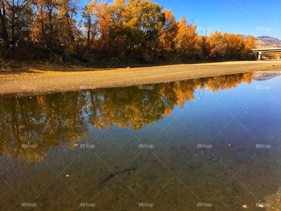 Beautiful fall walk by the river! 