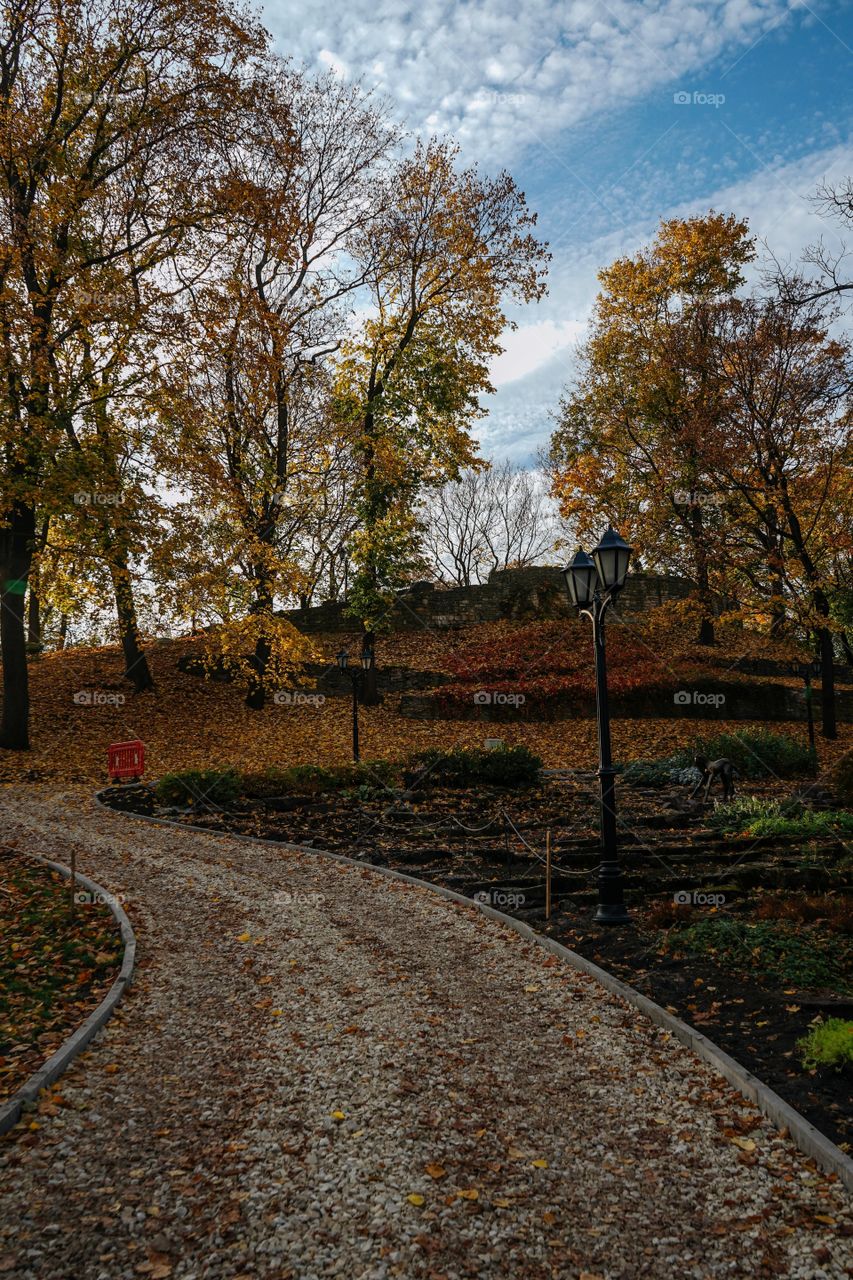 Autumn park