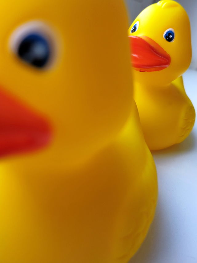 toy