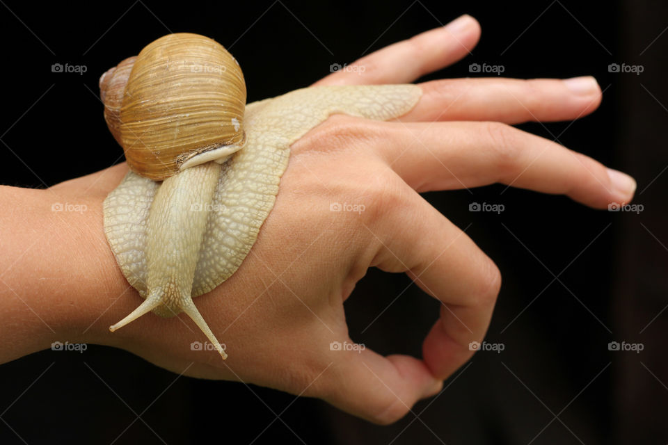 Connected with Nature, a snail on my hand, Okay hand gesture