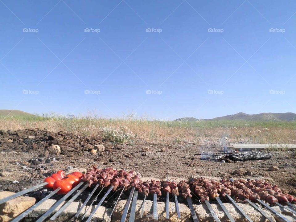 Barbecue .its kebab