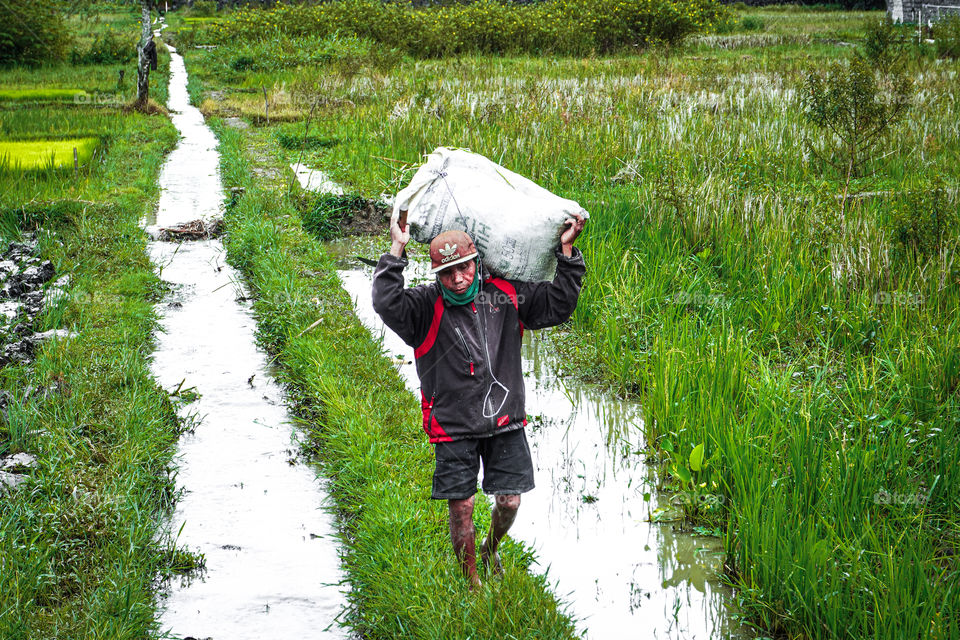 The farmer in village