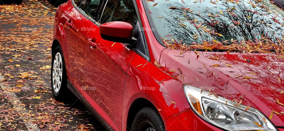 close up view of a shiny red car with fallen leaves on the windshield on a November afternoon in Oregon