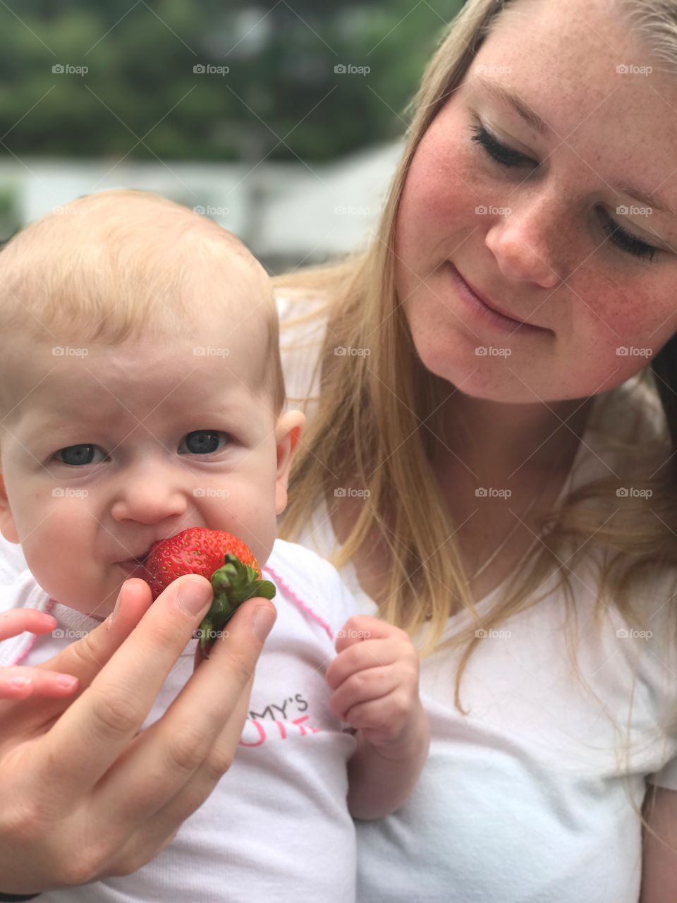 Baby's first strawberry