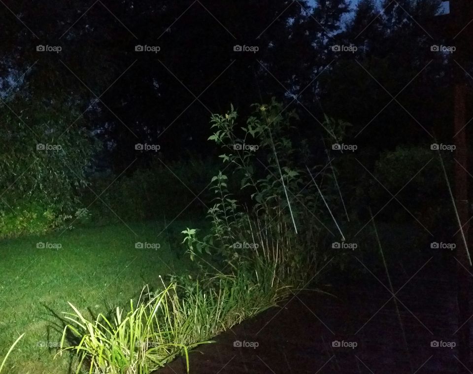 rain drops in the evening