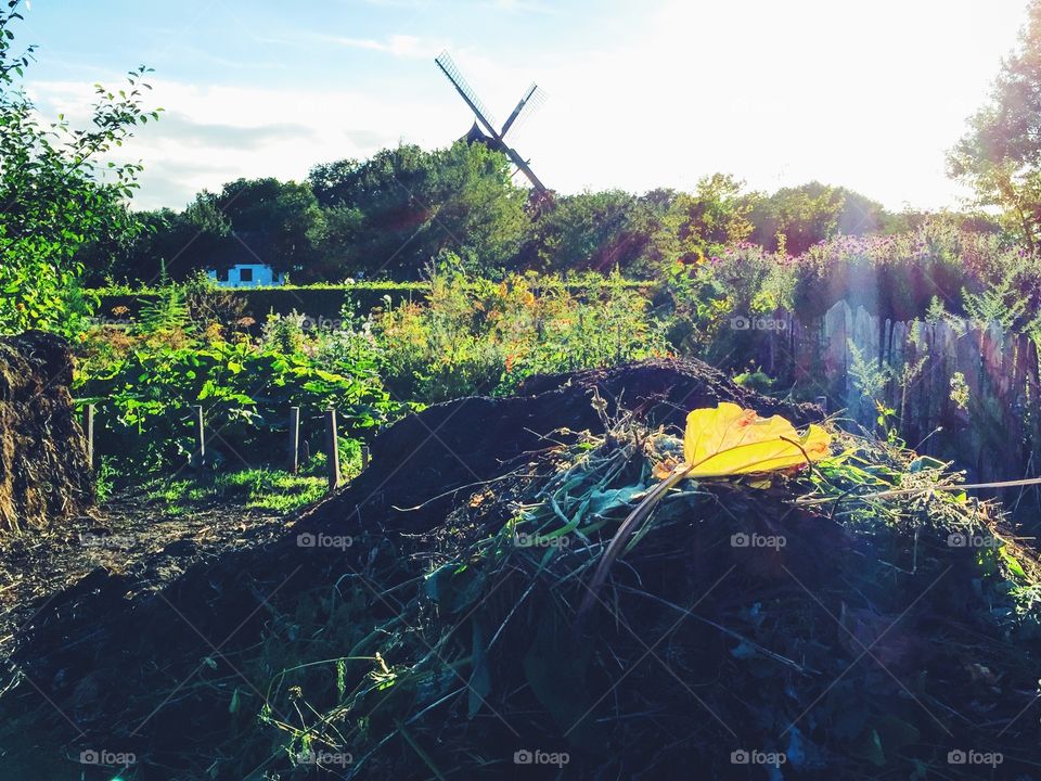 City park with windmill and gardens