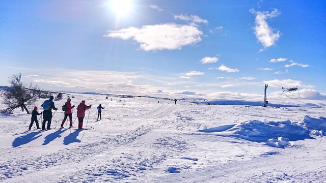 Snowy Mountains