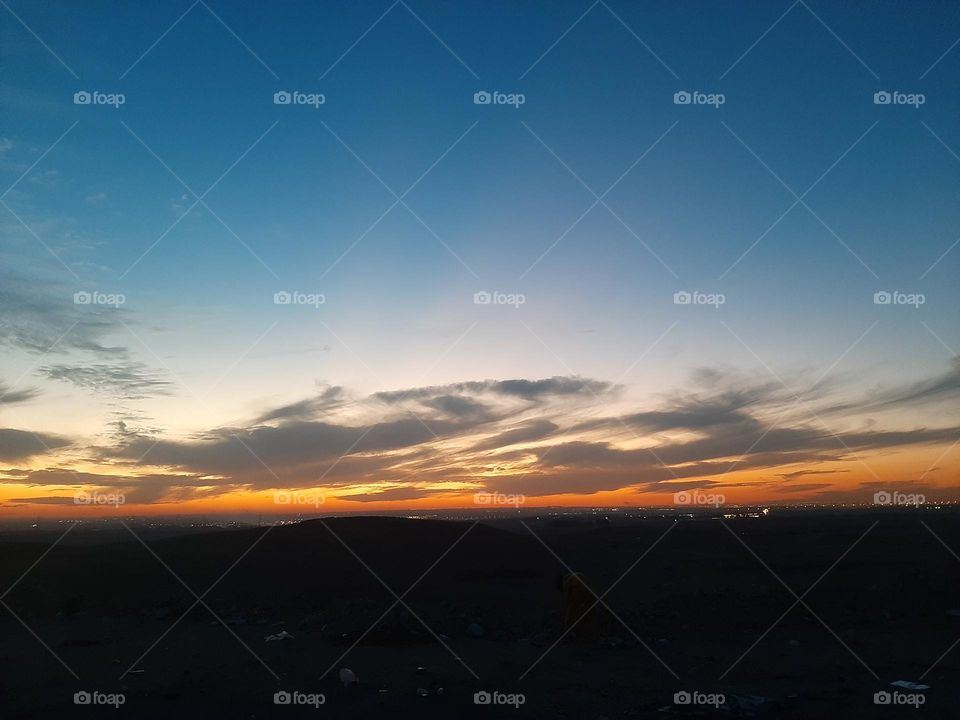 Please, I want you to support me, I need your help, I am poor, I need dollars, please