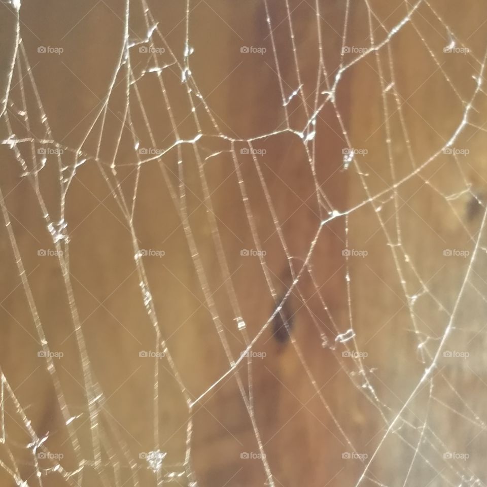 perfect imperfections