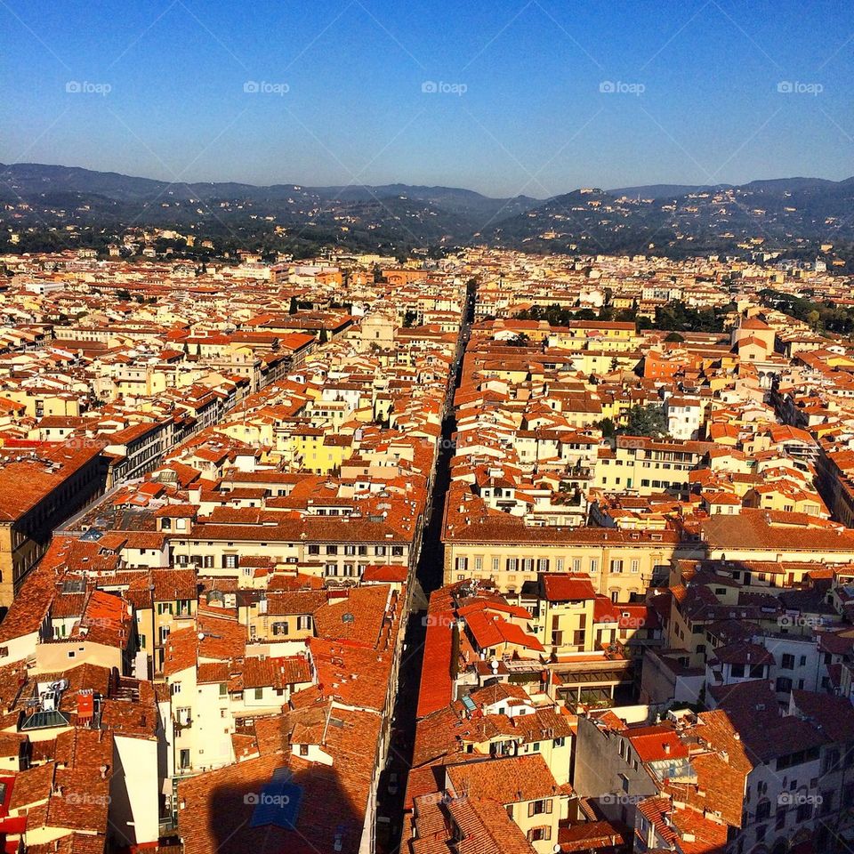 Florence Views 