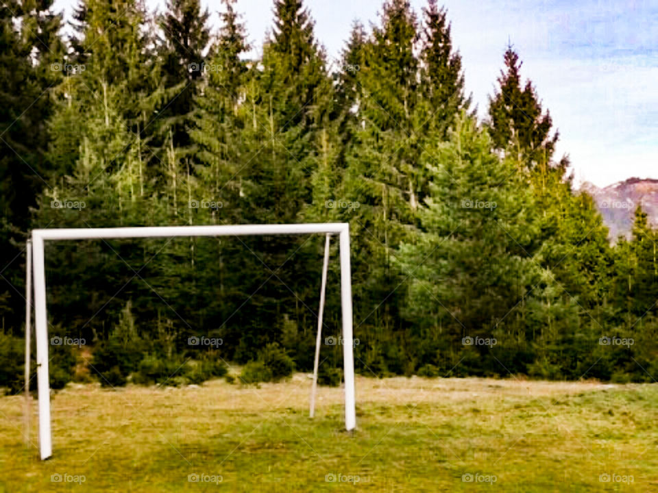 goal in nature