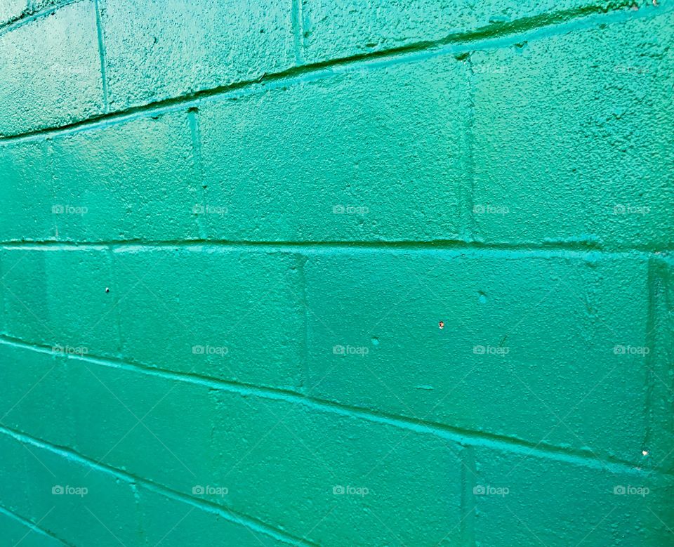 Green painted wall