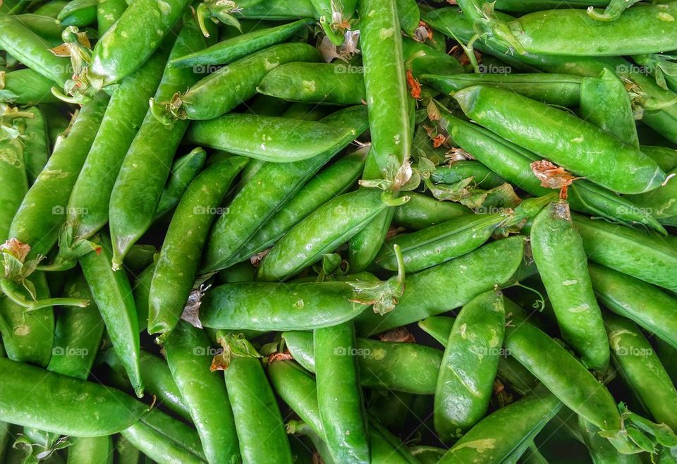 fresh green beans