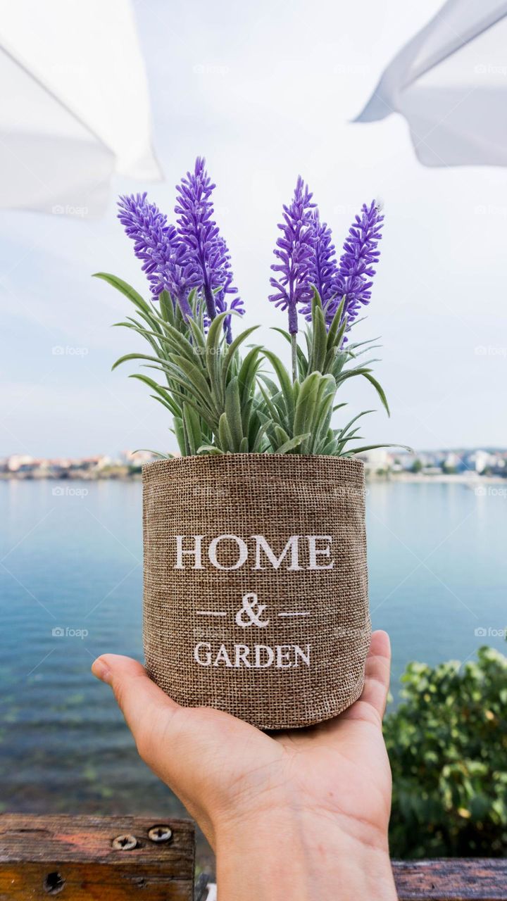 Decorative lavender flowers in a vase in my hand against seascape 