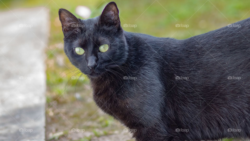 Visitante muy atenta