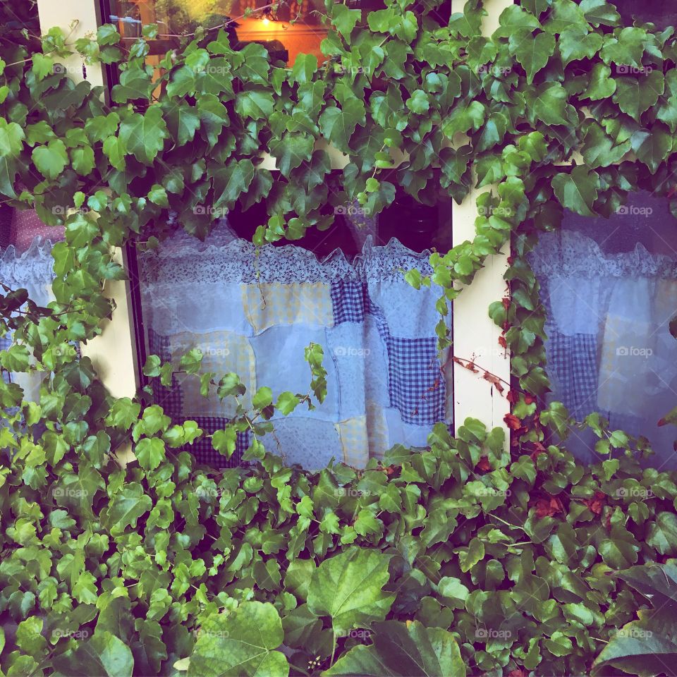 Behind closed curtains