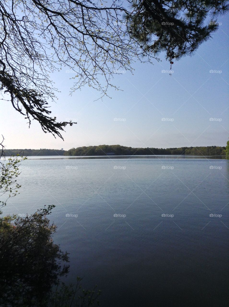 Beautiful view over a Cape Cod pond. Beautiful view over a Cape Cod pond