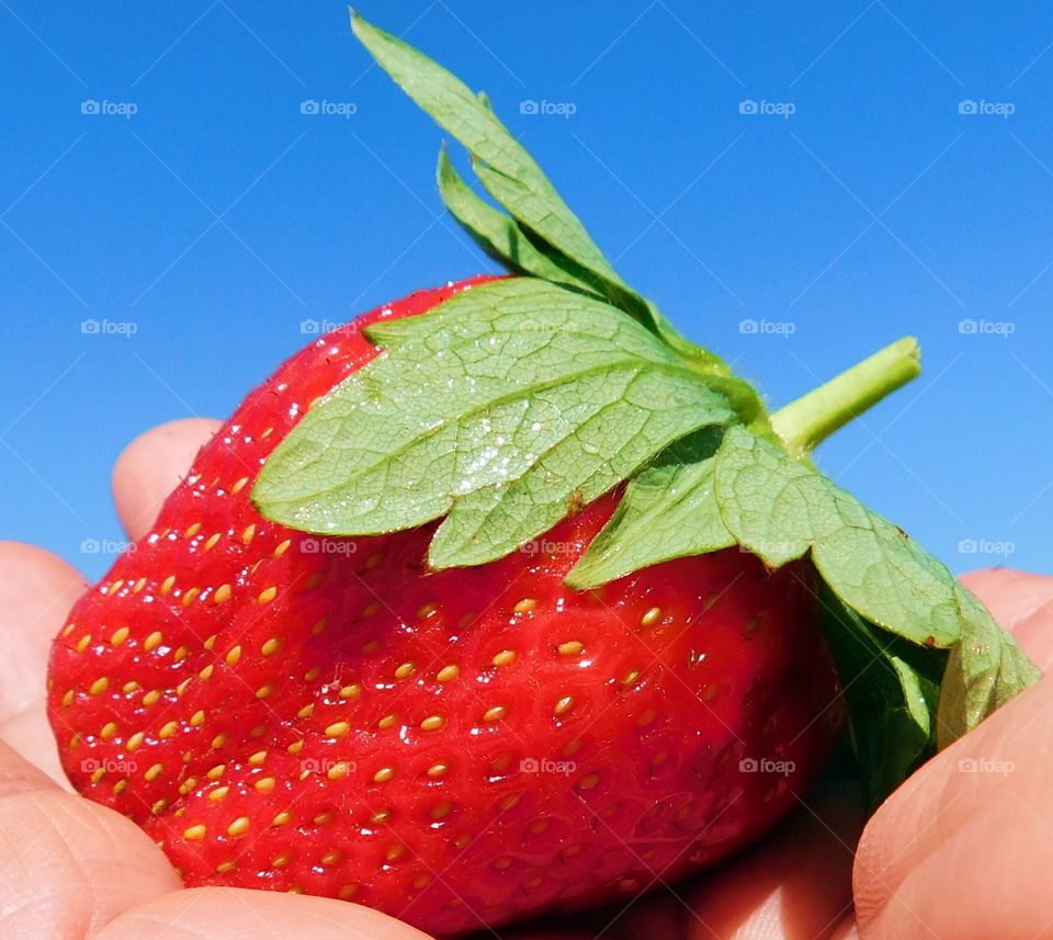 strawberry