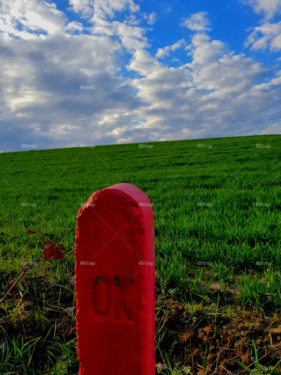 Just beautiful nature- OK