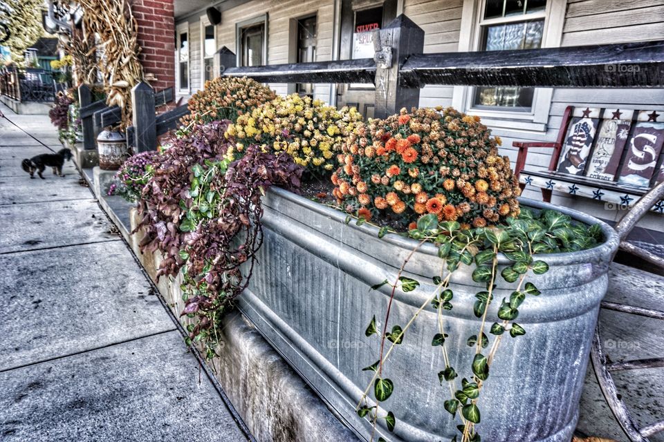 Seasonal Planter