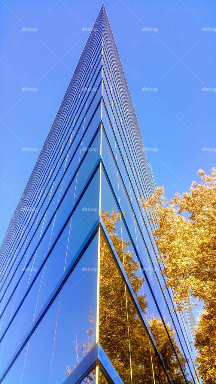 Blue Sky and Glass
