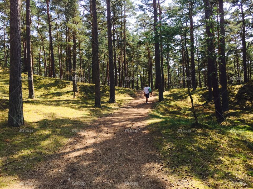 A man walking on the forest path far away