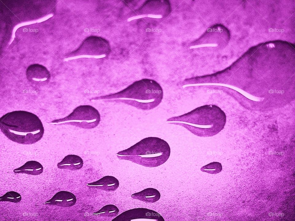 Drops on purple surface
