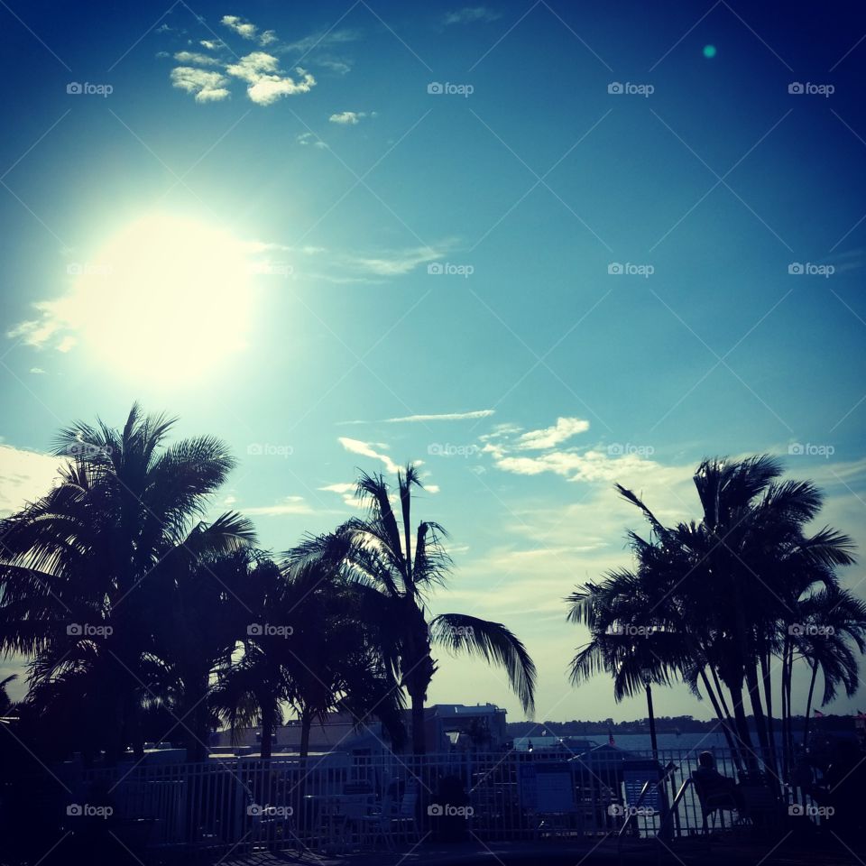 Sunshine by the pool