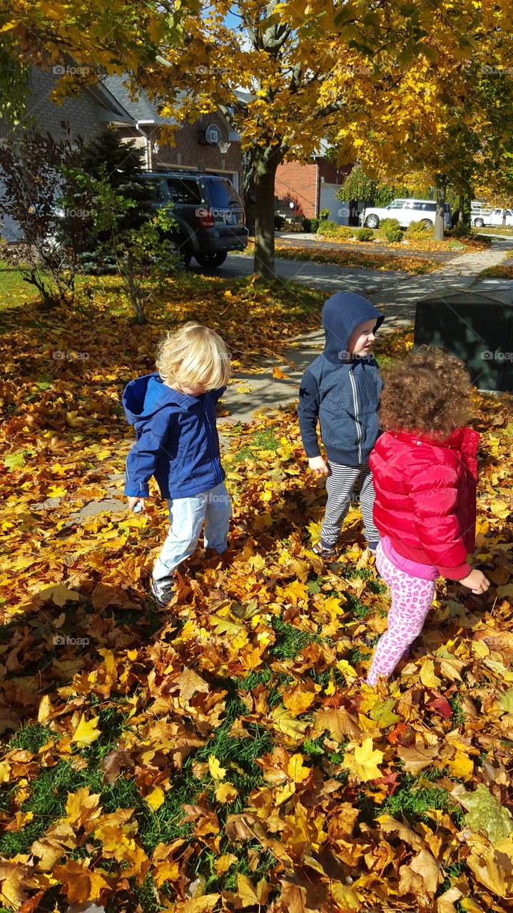 children playing on fall leaves