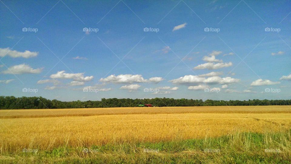 farm landscape
