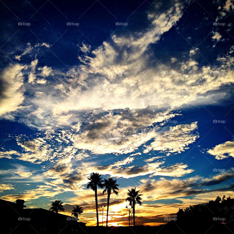 Arizona Sky 