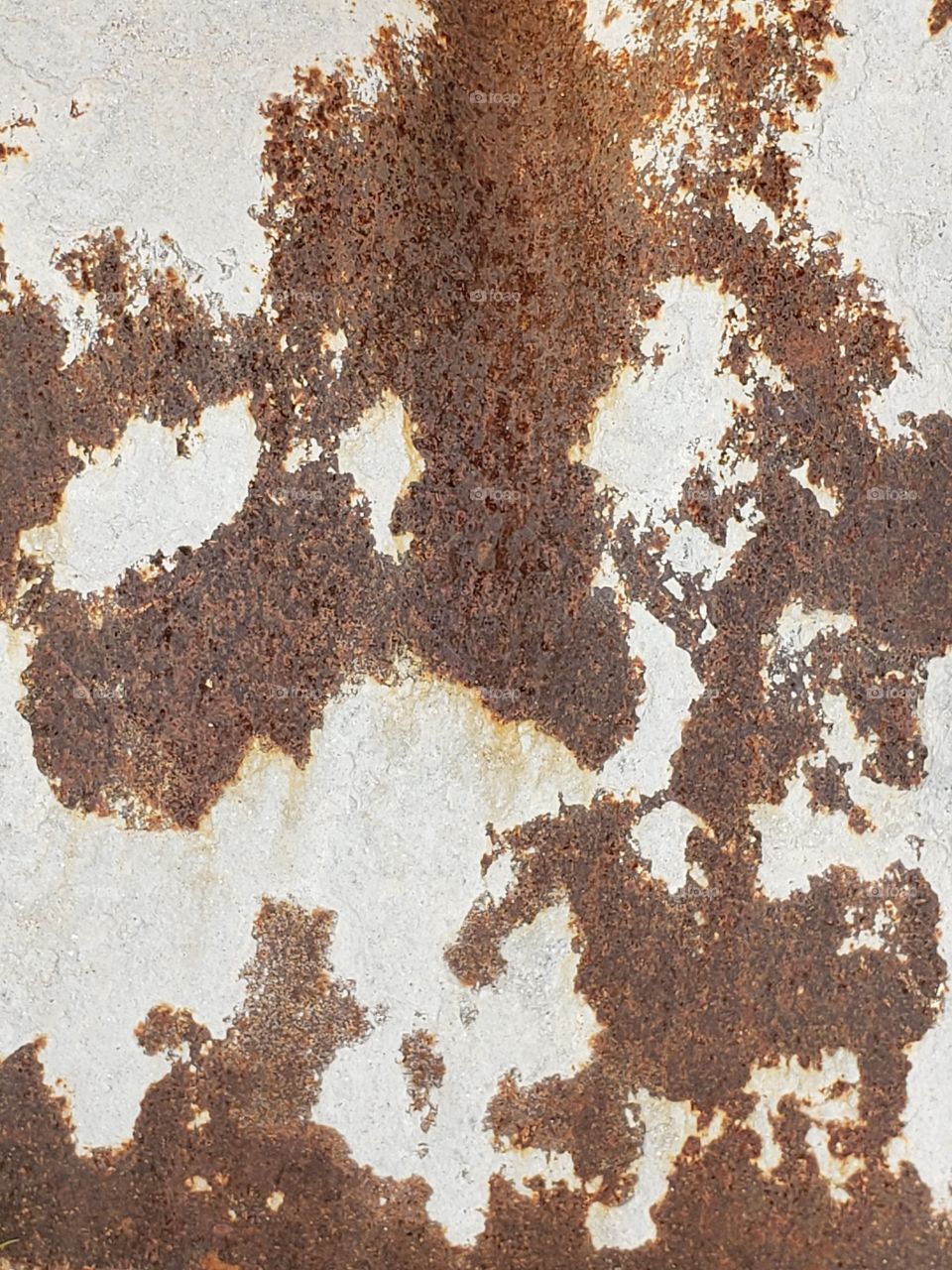cowhide rust print