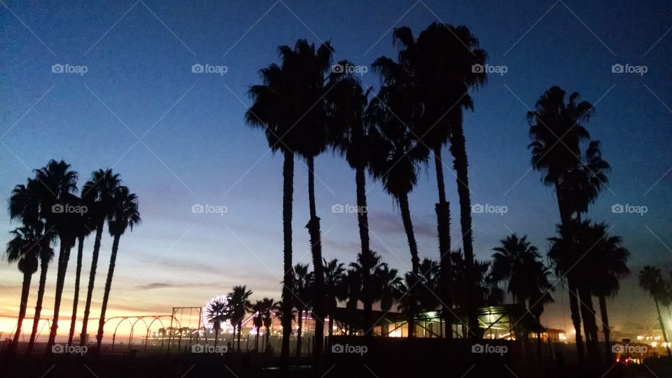 California Venice Beach sunset