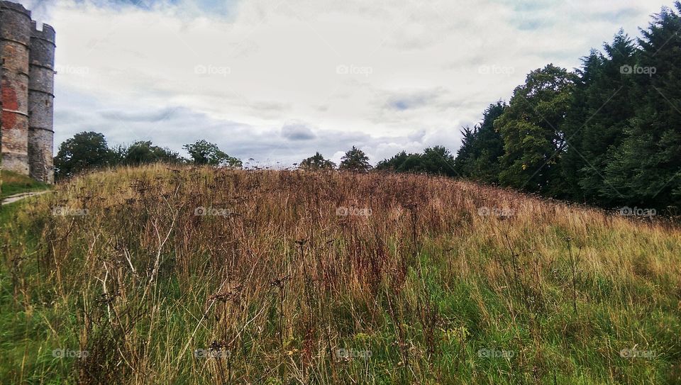 Donnington fields and castle