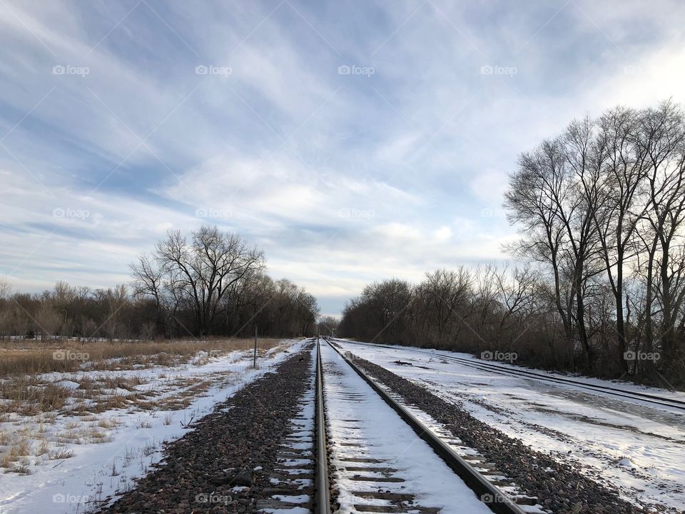 Snowy tracks 