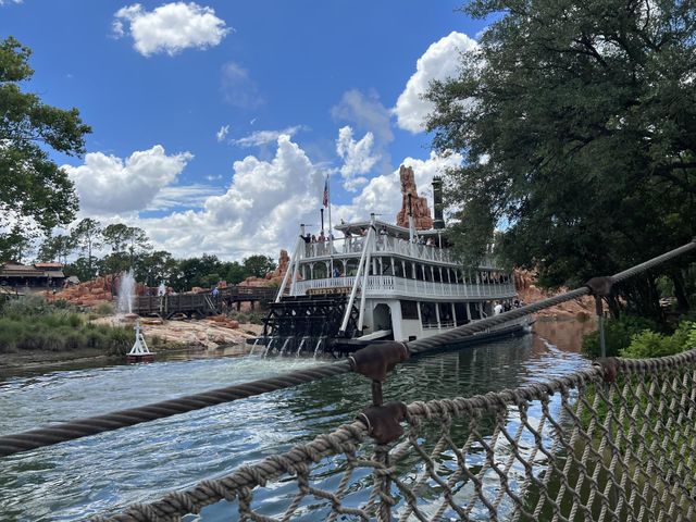 Magic kingdom Disney world 