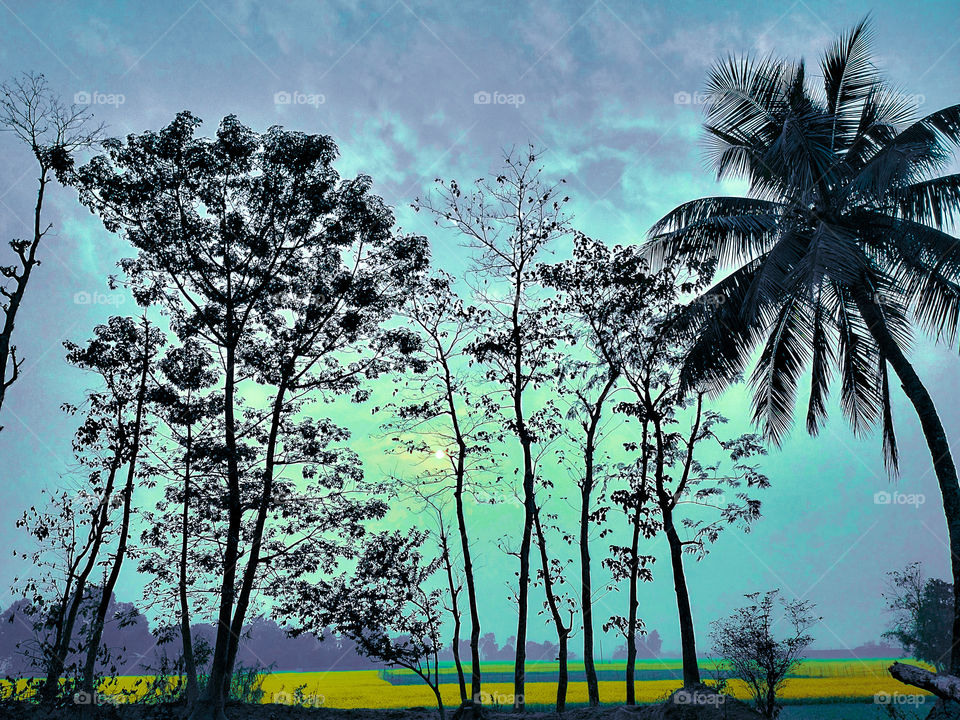 The environment is where we all meet, where we all have mutual interest. It is the one thing all of us. Let's nurture the nature so that we can have a better future. "HAPPY ENVIRONMENT DAY".