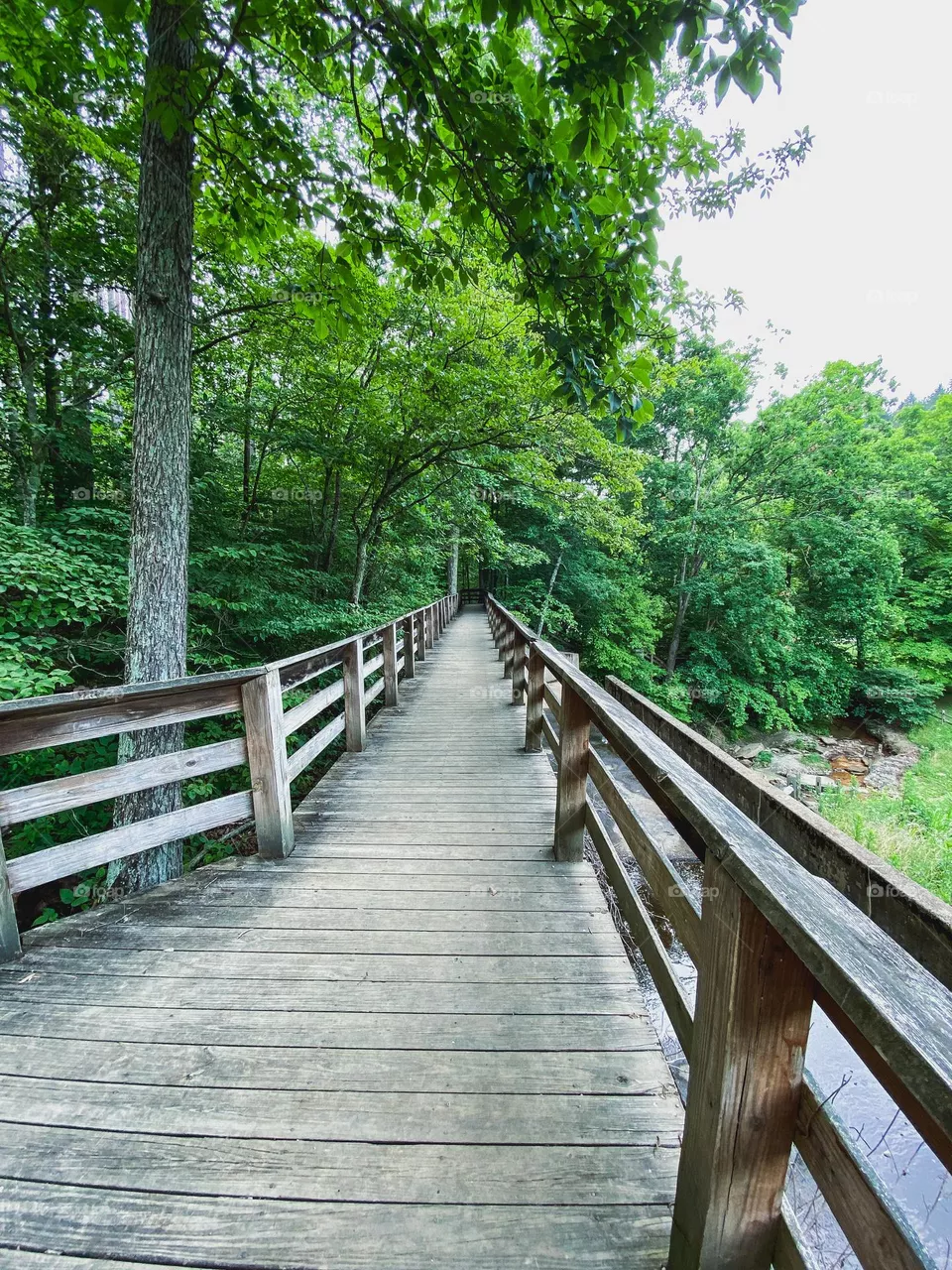 Hiking bridge